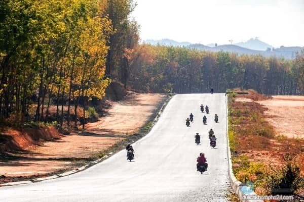 Dịch vụ cho thuê xe máy tại Thanh Xuân
